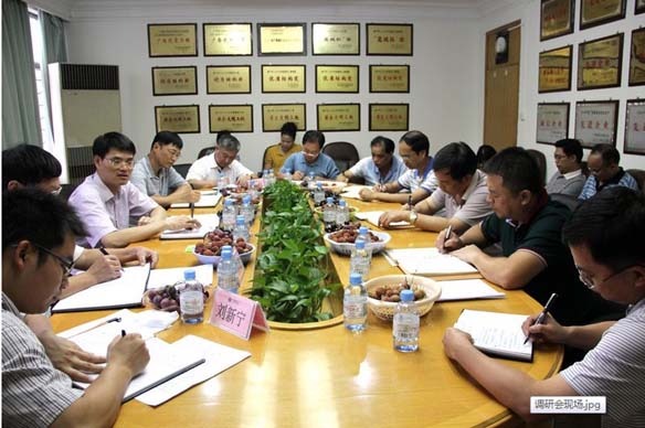 ��ɳ�����·js69(�й�)���޹�˾����