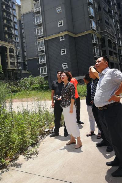 1566461174691090.jpg 4Ñî»ÀÁâÔÚ¶«Ð˼ҵç³ÇÏîÄ¿µ÷ÑÐ700.jpg